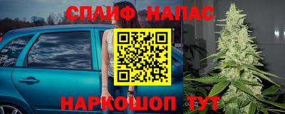 a pvp Бийск