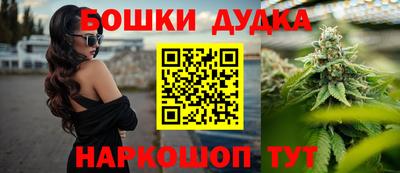 a pvp Бийск