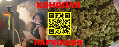 a pvp Бийск