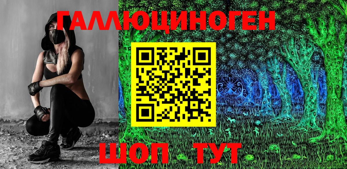 Касимов  Псилоцибиновые грибы прущие грибы  Вход с VPN 