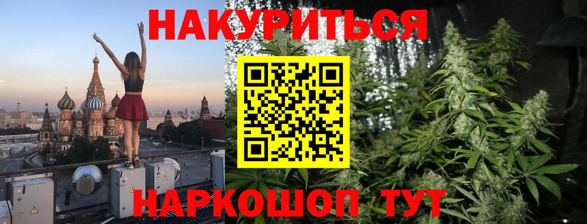 Конопля сатива Касимов